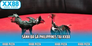 Sảnh đá gà Philippines